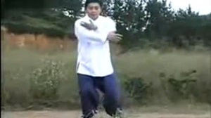 James Fu 85 forms Authentic Yang Style Taijiquan