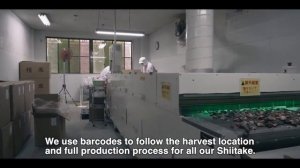 SUGIMOTO Shiitake Factory 2020 [ENG SUB]