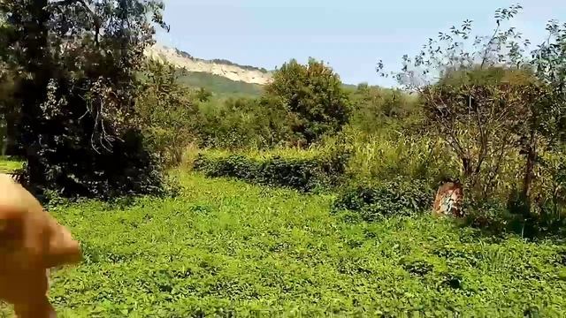 Мой дом в Псебае) смотреть онлайн