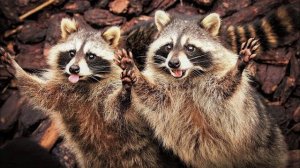 ✔ *АрхиСРОЧНО* «Творец ~ Вот так СЕЙЧАС Живите Люди !» #Вознесение