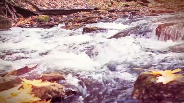 клип осенний утренник 2019 Дашулькин дет сад №4 смотреть онлайн