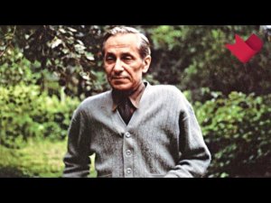 "Человек не блоха, ко всему привыкает". Михаил Зощенко | Это было смешно