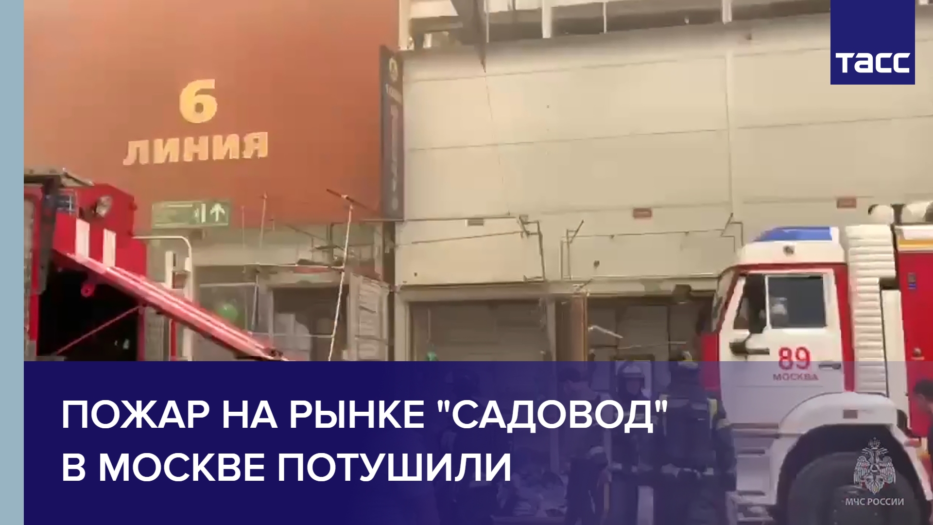 Кто владелец садовода рынка в москве