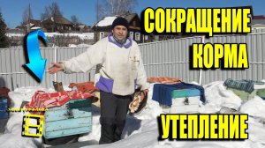 СОКРАЩЕНИЕ ГНЕЗДА ПЧЕЛ ВЕСНОЙ, УТЕПЛЕНИЕ УЛЬЕВ И ПОСТАНОВКА КОРМОВ. ДЛЯ НАЧИНАЮЩИХ ПЧЕЛОВОДОВ 2-21