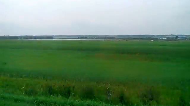 Зеленая трава смотреть онлайн