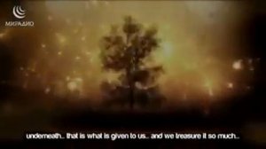 ПОЧЕМУ АЛЛАХ СОЗДАЛ ЧЕЛОВЕКА