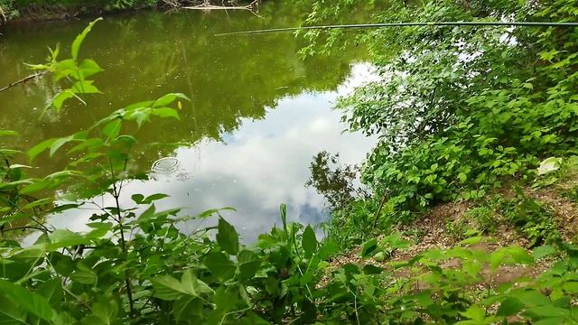 Люблю я летом с удочкой, над речкою сидеть...КЛАССНАЯ ПЕСНЯ. смотреть онлайн