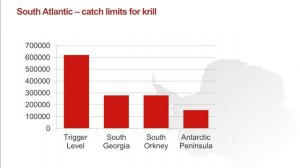 Krill connections: Is Hobart the krill capital of the world?