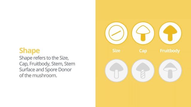 Funeral bell (Galerina marginata) | Shape | Practical Short Profile | Shroomers смотреть онлайн