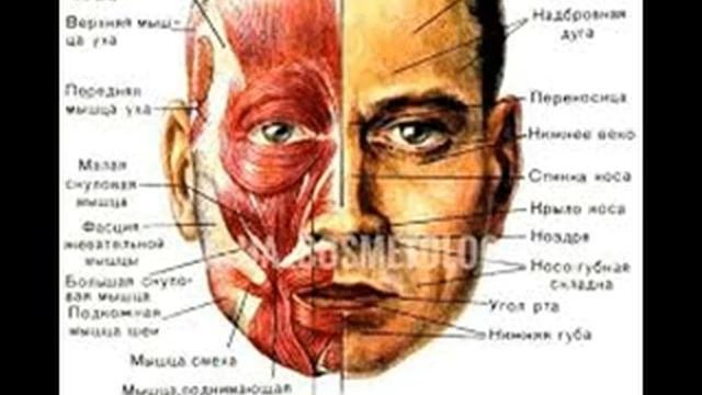 Квантовое омоложение лица