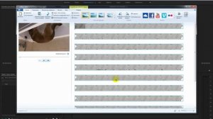 Тормозит, зависает видео с Iphone в предпросмотре  Adobe Premiere pro