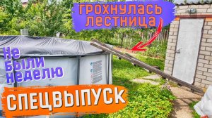 КОГДА НЕ БЫЛИ НА ДАЧЕ НЕДЕЛЮ!!! СПЕЦВЫПУСК. Купили советскую дачу.