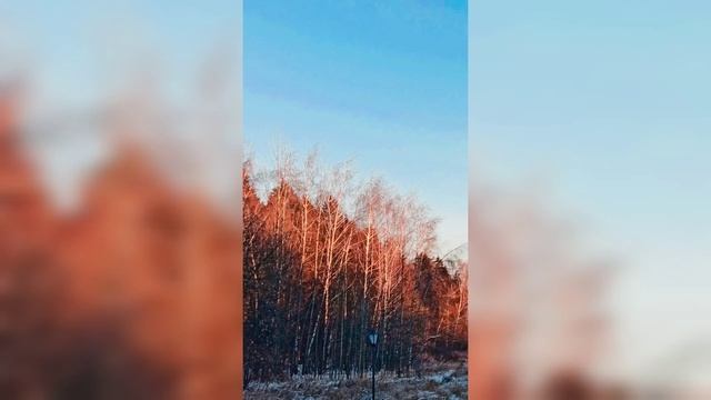 Палеонтологический Музей