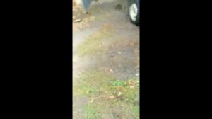 Проверка работы двигателя после кап.ремонта Фиат Добло 1,9 Дизель