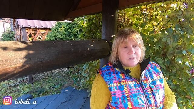 Как подготовить клематисы к зиме: подкормка, полив, обрезка, окучивание, укрытие и защита от мышей