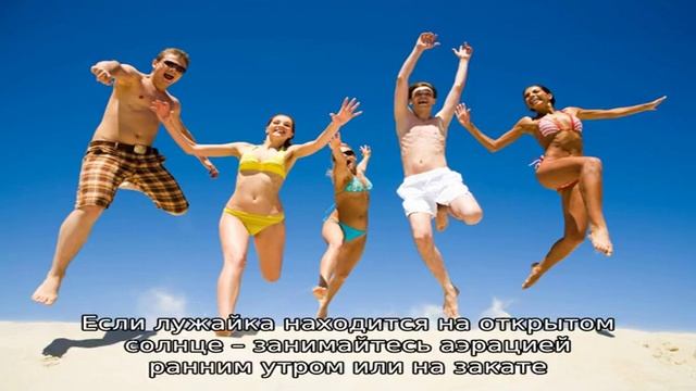 Посоветуйте цветы для газонов, которые цветут все лето