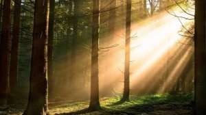 Adonai.. (Deutsch - Hebräisch)