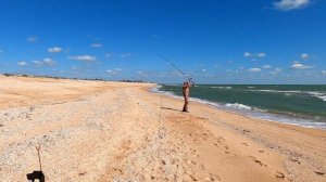 ?Ловля пеленгаса и кефали на Азовском море  2021.Fishing for pelengas and mullet in the sea #DENLif