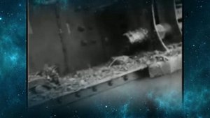tank , Renault FT -17