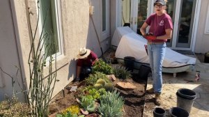 How I Check and Treat my Succulents for Snout Weevil and Day 3 in Del Mar September 29 2021