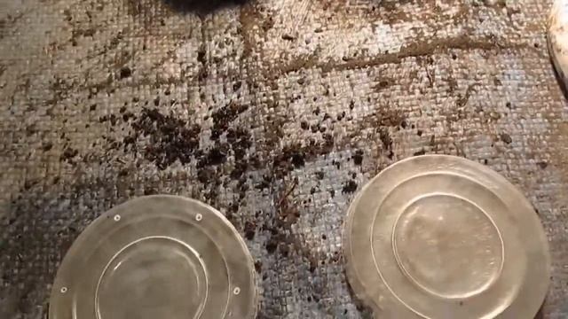 Сколько проживёт червь. 1ч. смотреть онлайн