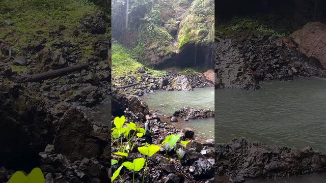 Hidden waterfall in Wooroonooran National Park