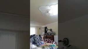 Два     брата      дрались     барьба