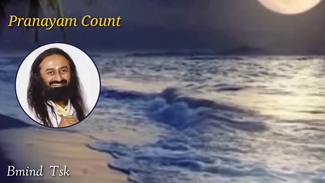 PRANAYAM COUNTS .Sudarshan Kriya.Art of Living.Bhastrika. Meditation.Yoga. смотреть онлайн