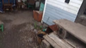 Котел Неделька КО-90 И ПОЛ ВЕДРА КОНДЕНСАТА В СЕРЕДИНЕ ИЮНЯ