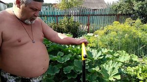 В гостях у Николаевича на даче . Свой мини пруд с рыбой .