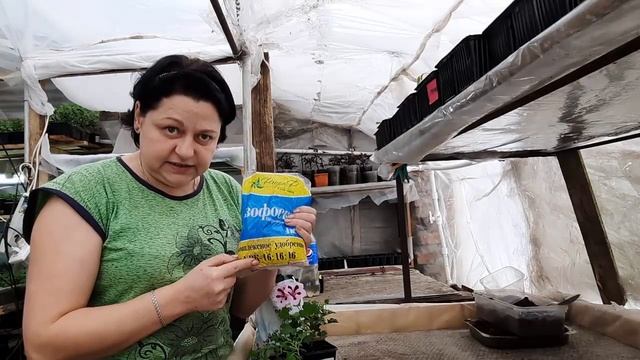 УДОБРЕНИЯ(ПОДКОРМКИ) . ОТ ПИКИРОВКИ ДО ЦВЕТЕНИЯ. ВСЕ ЧТО НУЖНО ЗНАТЬ