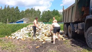 Вот так колят дрова.