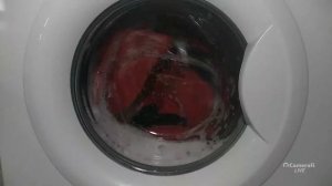 LG WD-80490S: cotton + prewash 40°