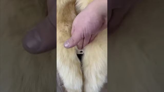 ✨Шикарные зимние Пуховики 95 см с натуральным мехом Лисы. Люкс🔥🔥🔥 смотреть онлайн