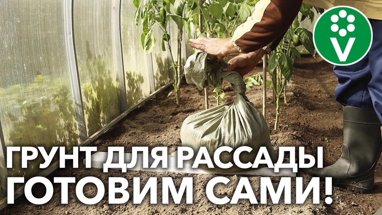 ТРИ ПРОСТЫХ СПОСОБА ПРИГОТОВЛЕНИЯ ГРУНТА ДЛЯ РАССАДЫ, которые может реализовать каждый!