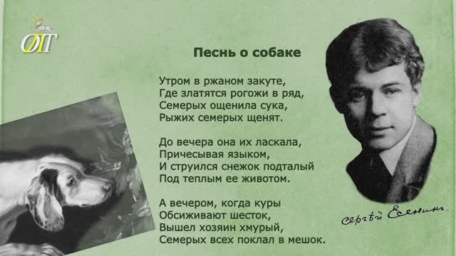 Сергей Есенин, "Песнь о собаке". Читает Дарья Буймова