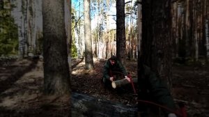 Походная лучковая пила, пробный рез