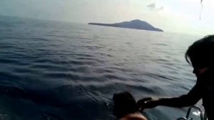 РЫБАЛКА НА ПХУКЕТЕ ПОЙМАЛИ МАРЛИНА