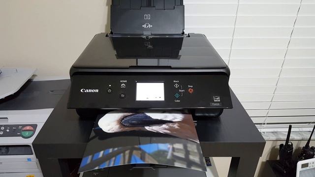 Canon TS6220 PIXMA Color Printer TEST/Review смотреть онлайн