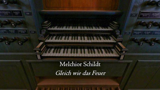 A North German Exploration - Schnitger organ, Martinikerk, Groningen, Hauptwerk