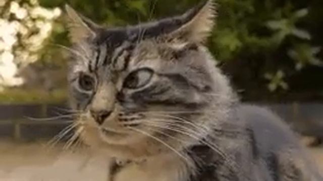 27 января 2019 г. смотреть онлайн