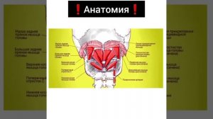 Убираем боль в затылке. Доктор Пак. Видеоуроки по лечебному массажу