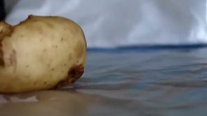 в земле вкусный картофель могут есть насекомые, но зато это хороший сорт (вкусное едят)