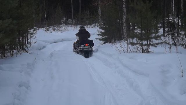 Снегоход BRP Skandic SWT 600ACE смотреть онлайн