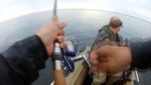 Рыбалка! Ловля СУДАКА на средней Волге.