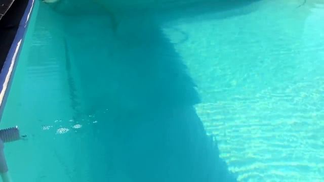 БАССЕЙН ИЗ БАННЕРА СПУСТЯ 4 ГОДА ! что с ним стало и что поменялось ! 15 тр за все ) смотреть онлайн