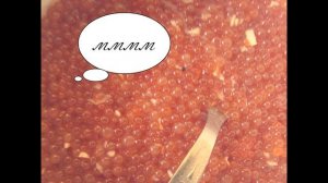 Угольные копи