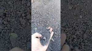 Шлакозаливной дом ЧАСТЬ 1