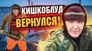 КИШКОБЛУД ВЕРНУЛСЯ!