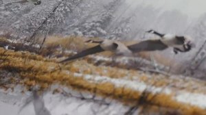 Bell Fibe TV series- Images Studio Tour Ep.4:  Derek C. Wicks